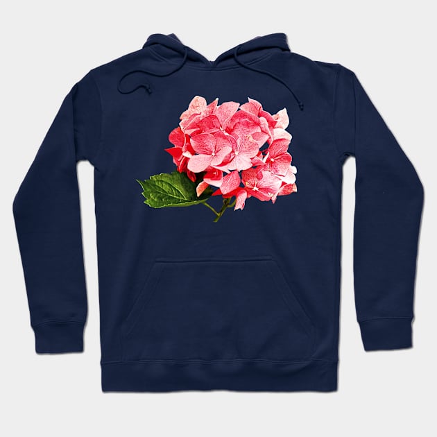 One Hydrangea Cluster Hoodie by SusanSavad